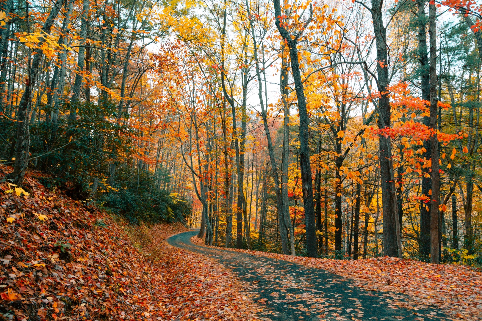 Beautiful fall scenery in Indian Trail